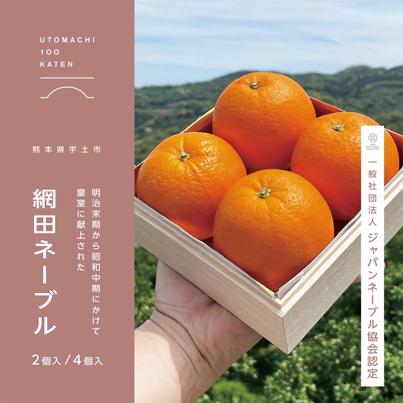 網田ネーブル
