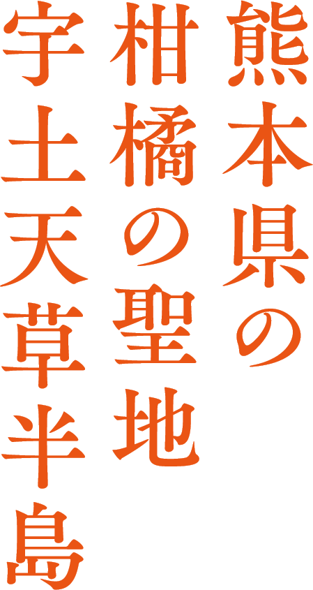 熊本県の柑橘の聖地　宇土天草半島