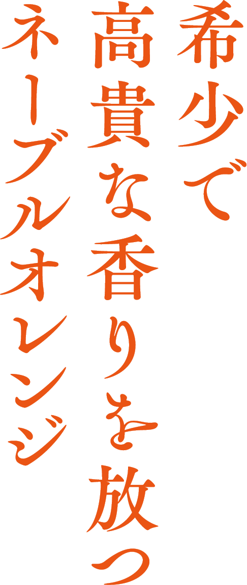 希少で高貴な香りを放つネーブルオレンジ