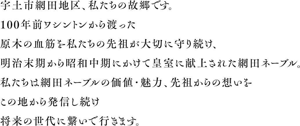 網田ネーブル、100年のプライド
